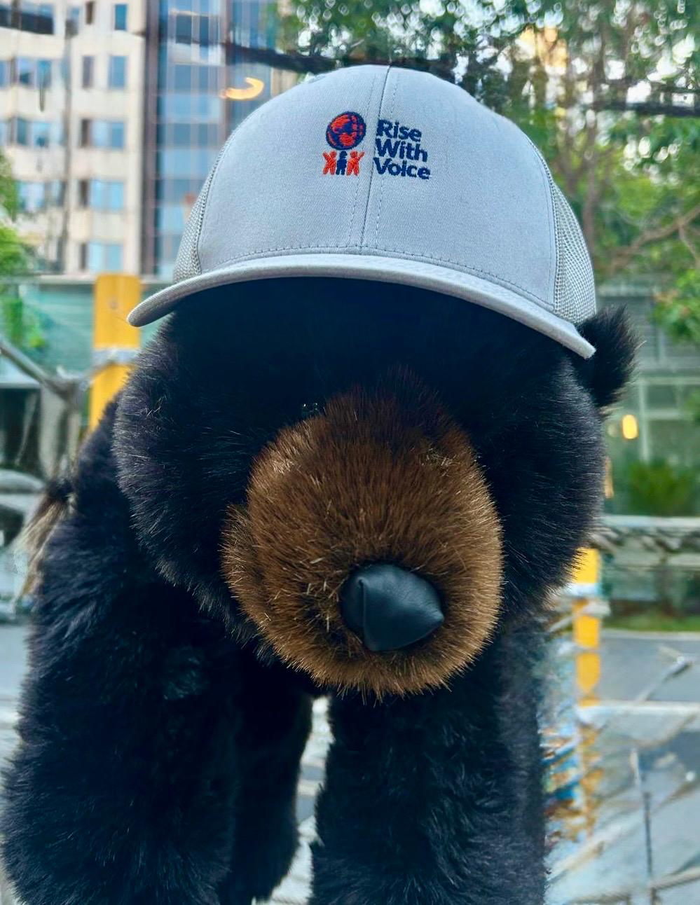 Vox - Rise With Voice mascot bear wearing a cap